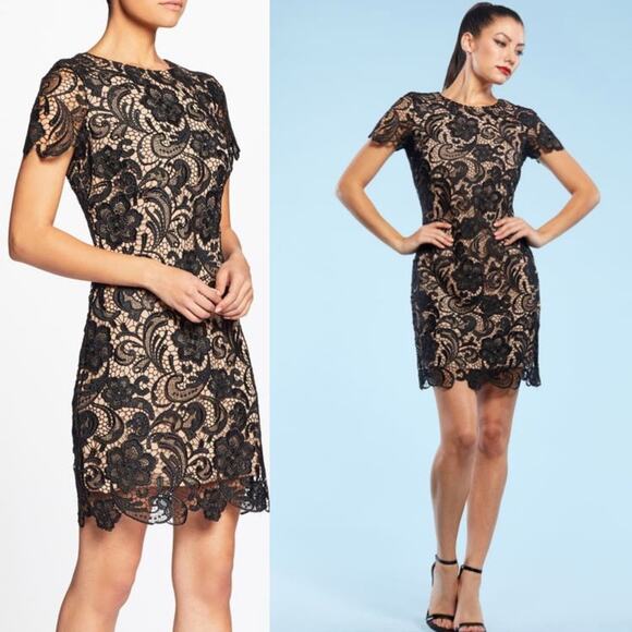 NWT Dress the population Anna lace sheath dress sz XL - Picture 1 of 8